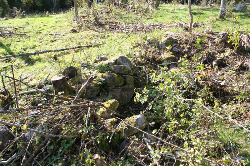 Jordkällaren